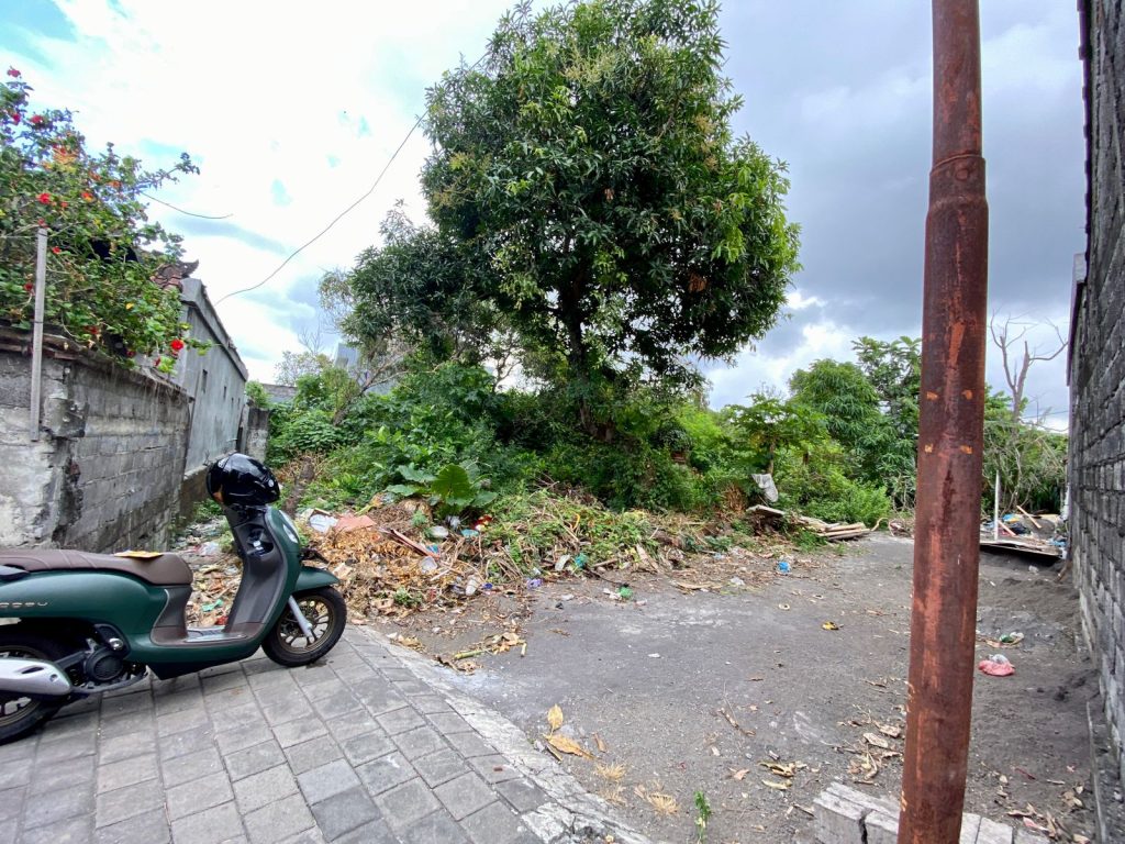 WhatsApp Image 2024-05-31 at 12.43.16