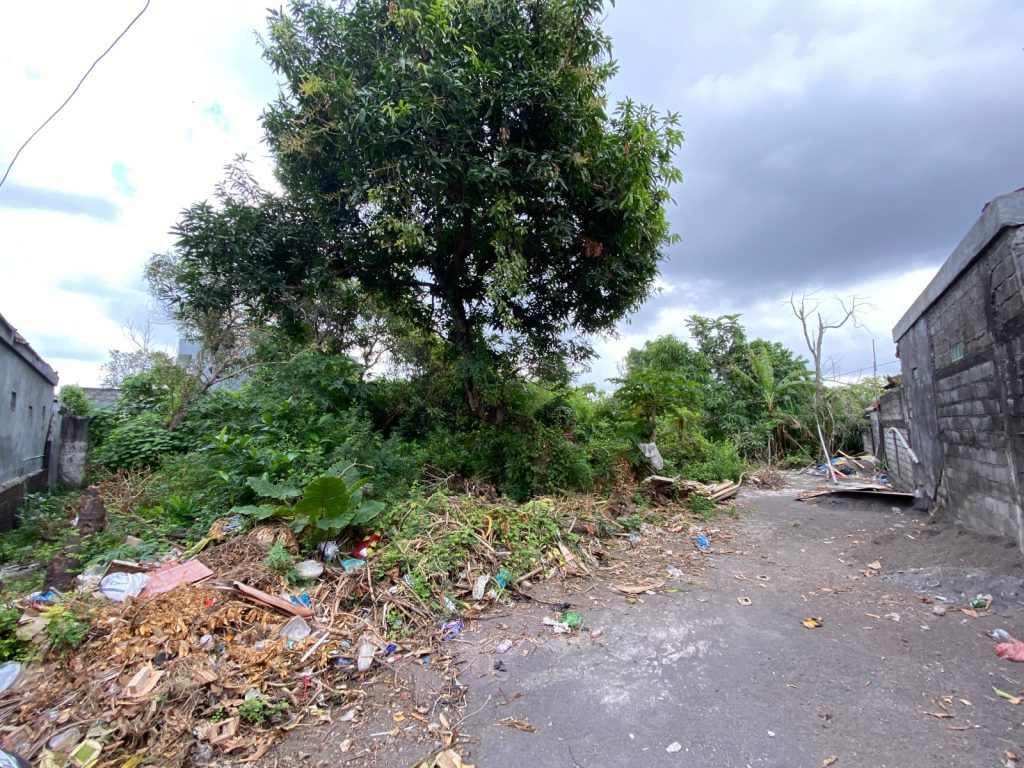 WhatsApp Image 2024-05-31 at 12.43.18 (1)